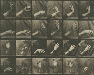  by Eadweard Muybridge