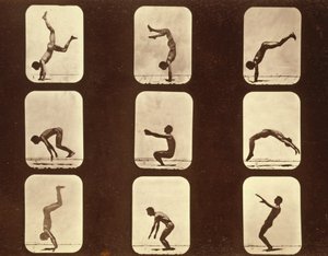 Sporcular Flip flap 