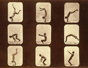 Sporcular 'Hayvan Hareketi' serisinden düzensiz, c.1881 by Eadweard Muybridge