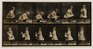  by Eadweard Muybridge