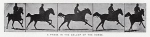 Eadweard Muybridge: Atın dörtnala koştuğu bir evre (s/b fotoğraf) by Eadweard Muybridge