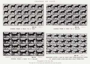 Eadweard Muybridge: Yürüyüşün Değişimi (s/b fotoğraf) by Eadweard Muybridge
