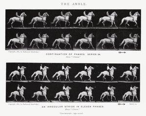 Eadweard Muybridge: Amble (s/b fotoğraf) by Eadweard Muybridge