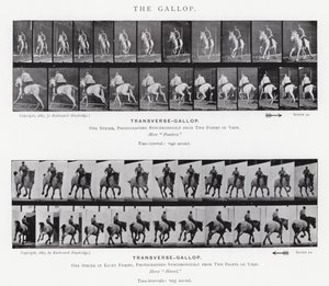Eadweard Muybridge: Dörtnala (s/b fotoğraf) by Eadweard Muybridge