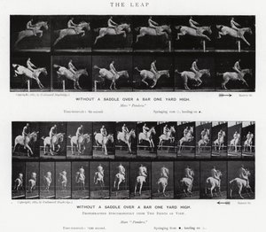 Eadweard Muybridge: Sıçrayış (s/b fotoğraf) by Eadweard Muybridge