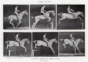 Eadweard Muybridge: Sıçrayış (s/b fotoğraf) by Eadweard Muybridge