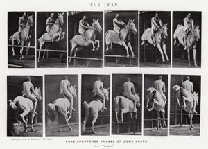 Eadweard Muybridge: Sıçrayış (s/b fotoğraf) by Eadweard Muybridge