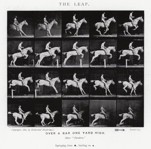 Eadweard Muybridge: Sıçrayış (s/b fotoğraf) by Eadweard Muybridge