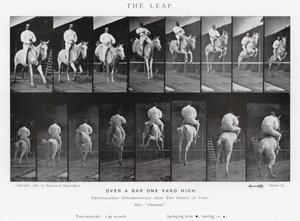 Eadweard Muybridge: Sıçrayış (s/b fotoğraf) by Eadweard Muybridge