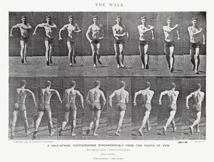 Eadweard Muybridge: Yürüyüş (s/b fotoğraf) by Eadweard Muybridge