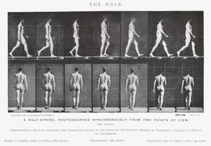 Eadweard Muybridge: Yürüyüş (s/b fotoğraf) by Eadweard Muybridge