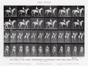 Eadweard Muybridge: Yürüyüş (s/b fotoğraf) by Eadweard Muybridge