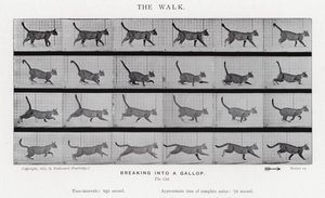 Eadweard Muybridge: Yürüyüş by Eadweard Muybridge