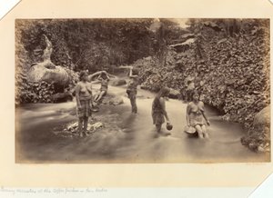  by Eadweard Muybridge