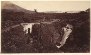  by Eadweard Muybridge