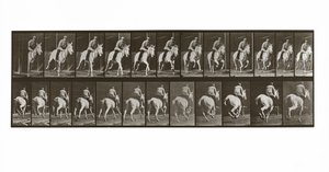 Binicili Dörtnala At, Plaka 635, Animal Locomotion, 1887 by Eadweard Muybridge