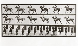 At ve Binici, Hayvan Hareketinden Plaka 621, 1887 by Eadweard Muybridge