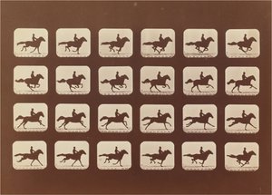 Atlar. Koşma. Phyrne L. No. 40 by Eadweard Muybridge