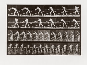 Odun planyalayan adam, Animal Locomotion