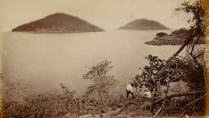  by Eadweard Muybridge