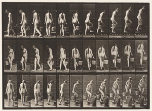 Levha 102. Dönen ve Çıkılan Merdivenler, Rt Elinde Kovalı Su, 1872-1885 by Eadweard Muybridge