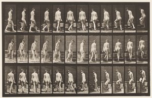 Levha 104. Dönen ve Çıkan Merdivenler, İki Elinde Kova Su, 1872-1885 by Eadweard Muybridge
