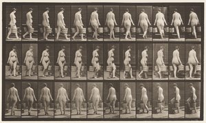 Levha 106. Merdivenleri Çıkmak İçin Dönmek, İki Elinde Bir Kova Su, 1872-1885 by Eadweard Muybridge