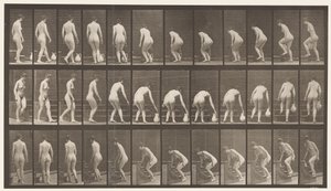 Levha 108. Merdivenleri Çıkmak İçin Dönmek, Eğilmek, Sürahiyi Kaldırmak, 1872-1885 by Eadweard Muybridge