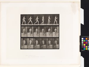 Plaka 10. Yürüyüş by Eadweard Muybridge