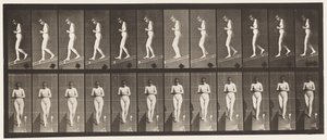Plaka 115. Eller Önde Birleştirilmiş Olarak Azalan Eğim by Eadweard Muybridge