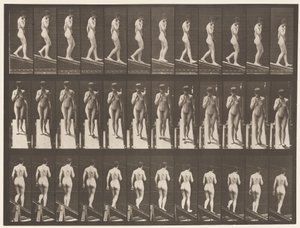 Plaka 116. Azalan Eğim, Bir El Çene Üzerinde by Eadweard Muybridge