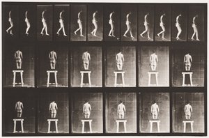Plaka 118. Azalan Eğim by Eadweard Muybridge