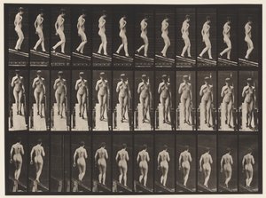 Plaka 119. Azalan Eğim Sağ El Göğüste (Ayakkabı) by Eadweard Muybridge