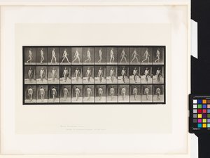 Plaka 11. Yürüyüş by Eadweard Muybridge