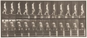 Levha 120. Azalan Eğim, Sağ Elden Su Kovası, 1872-1885 by Eadweard Muybridge