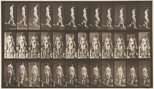 Plaka 121. Azalan Eğim, Her Elinde Kova Su by Eadweard Muybridge