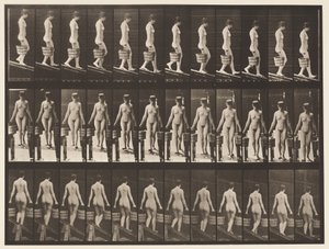 Levha 122. Azalan Eğim, İki Elinde Kova Su, 1872-1885 by Eadweard Muybridge