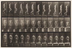 Plaka 125. İnen Merdivenler by Eadweard Muybridge