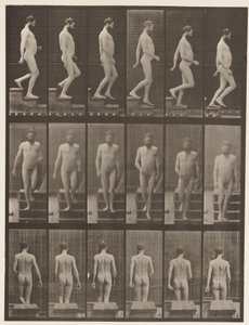 Levha 127. İnen Merdivenler, 1872-1885 by Eadweard Muybridge