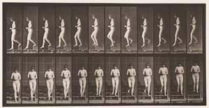 Levha 128. İnen Merdivenler, Eller Sıkışmış, 1872-1885 by Eadweard Muybridge