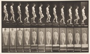 Levha 129. İnen Merdivenler, Eller Birleştirilmiş by Eadweard Muybridge