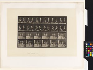 Plaka 12.Yürüyüş by Eadweard Muybridge