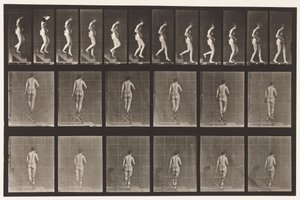 Levha 130. İnen Merdivenler, Eller Sıkışmış, 1872-1885 by Eadweard Muybridge