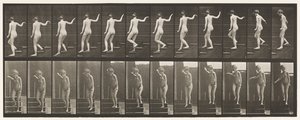Plaka 132. İnen Merdivenler, Dönüp Etrafa Bakmak ve El Sallamak by Eadweard Muybridge