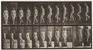 Levha 137. İnen Merdivenler, Dönme by Eadweard Muybridge