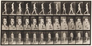 Plaka 13. Yürüyüş, 1872-1885 by Eadweard Muybridge