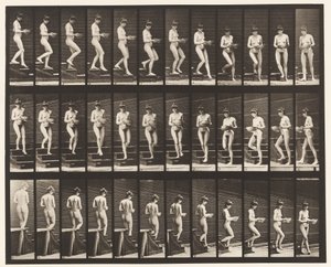 Plaka 144. İnen Merdivenler; Elinde Dönen Lavabo by Eadweard Muybridge