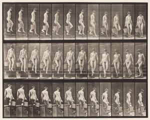 Plaka 145. İnen Merdivenler; Kova Suyu Sağdan Çevirmek, 1872-1885 by Eadweard Muybridge