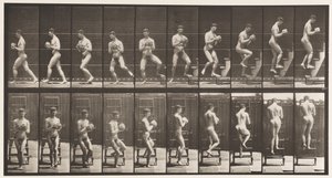 Levha 151. İnen Basamaklı Merdiven, Dönme, Elinde Taş, 1872-1885 by Eadweard Muybridge