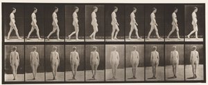 Plaka 15. Yürüyüş by Eadweard Muybridge